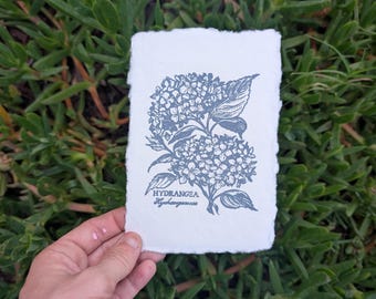 Hydrangea - Hand Stamped Print