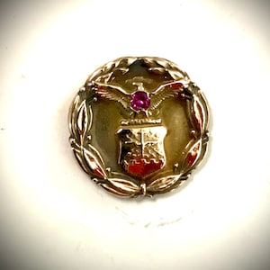May include: A gold-toned pin with a red ruby stone in the center. The pin features an eagle with a shield and a wreath of leaves.
