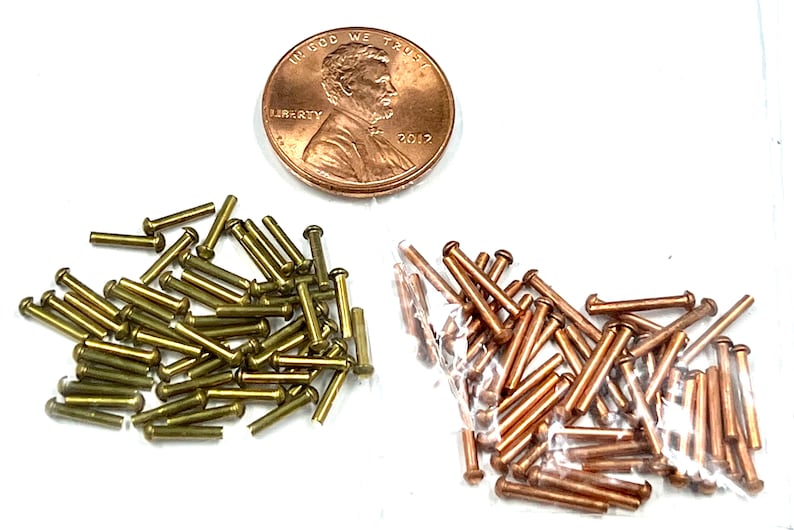May include: Two bags of metal rivets, one bag of brass rivets and one bag of copper rivets. The bags are next to a US penny for scale.