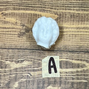 1 Original Antique German Bisque Frozen Charlotte Doll Head, Unpainted, Craft Supply, (A)