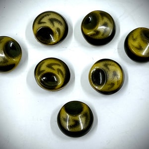 May include: Seven round, brown and black buttons with a swirl pattern. The buttons have a raised, black center.
