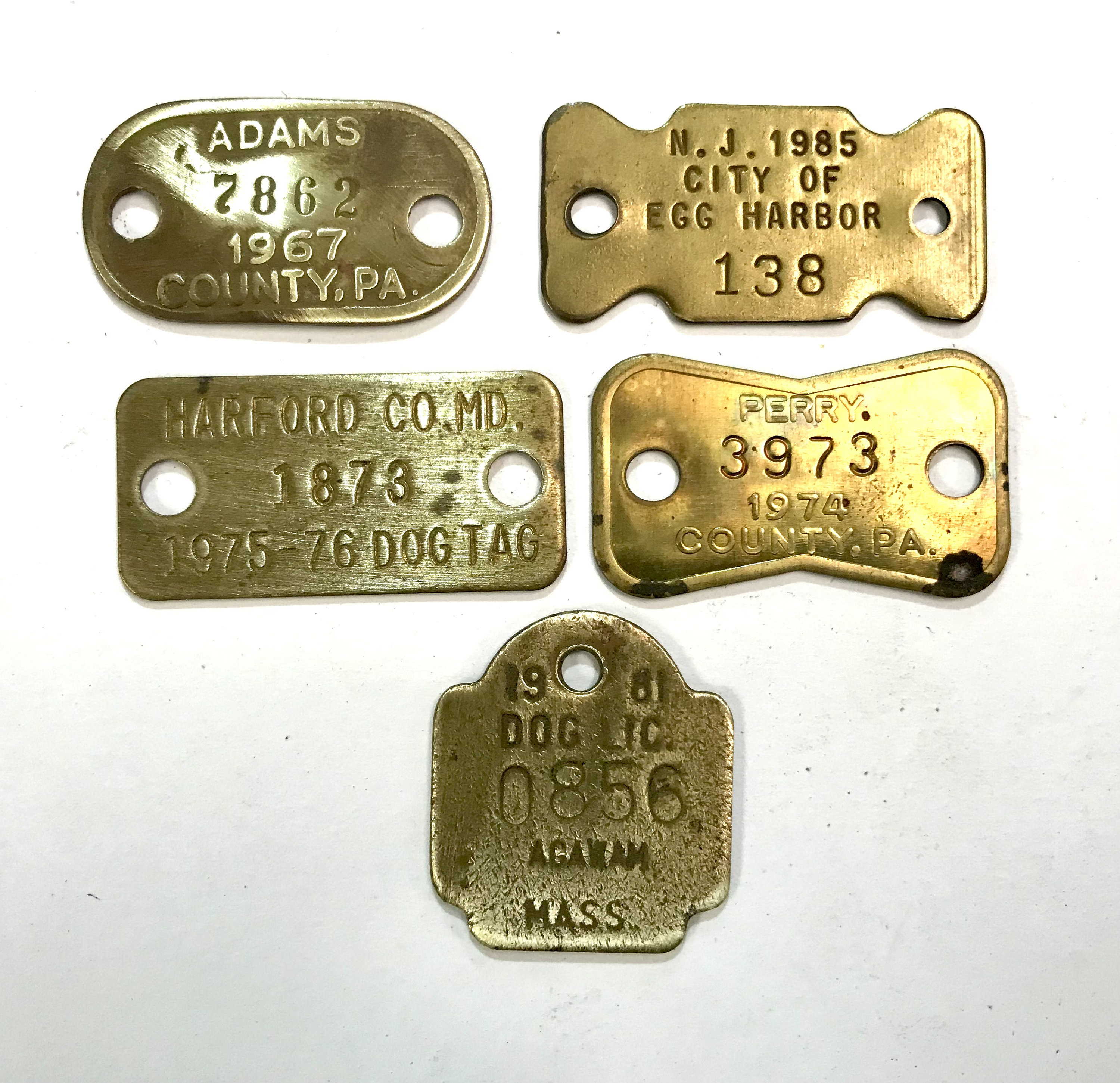 How Much Is A Pa Dog License