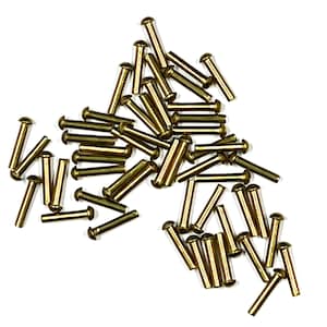 May include: A large quantity of gold-colored metal rivets. The rivets are about 1 inch long and have a rounded head.