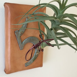 Air Plant Holder-Leather and Wood &quot;5&quot;
