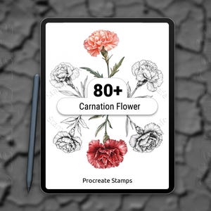 May include: A digital tablet displays a collection of carnation flower illustrations. The image features a mix of colored and black-and-white drawings, with text reading "80+ Carnation Flower" and "Procreate Stamps."