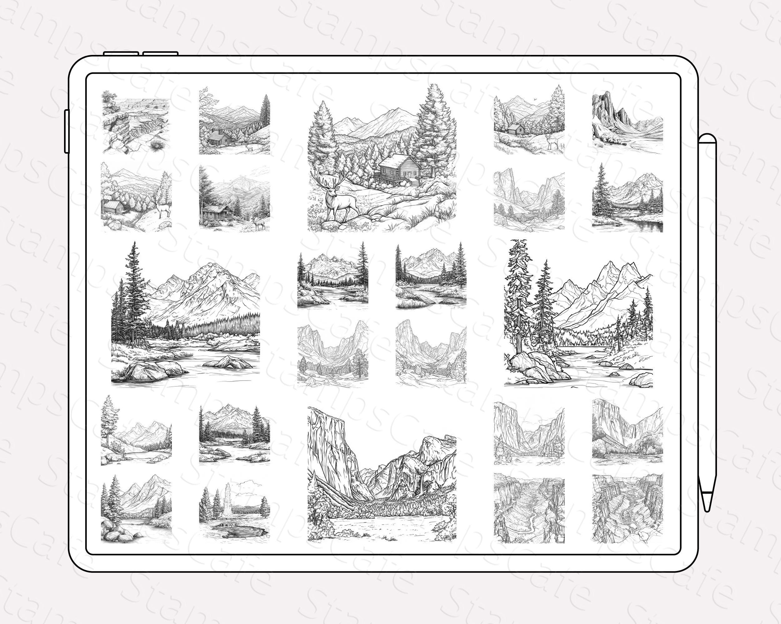 National Parks Procreate Stamps Bundle, 50+ Nature & Park Procreate ...