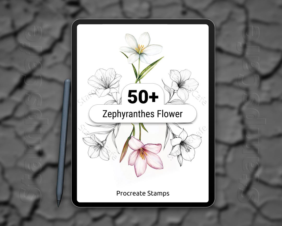 50+ Procreate Zephyranthes Flower Stamps | Floral Botanical Stamp Pack ...