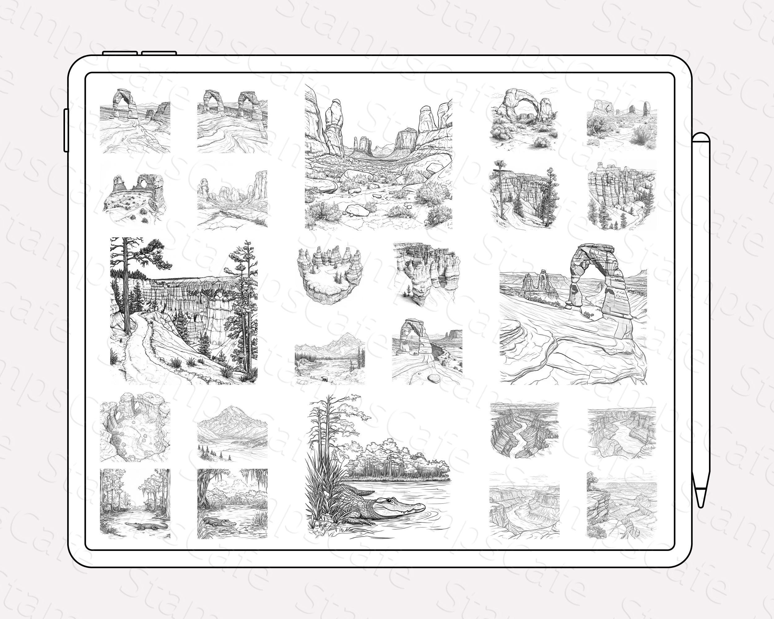 National Parks Procreate Stamps Bundle, 50+ Nature & Park Procreate ...