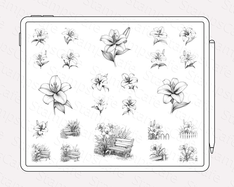 Procreate Lily Flower Stamp Set, 50+ Lily Flower Procreate Stamps ...