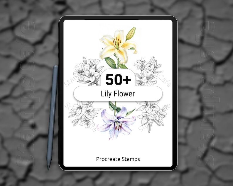 Procreate Lily Flower Stamp Set, 50+ Lily Flower Procreate Stamps ...