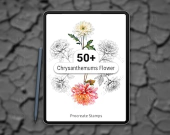 Procreate Chrysanthemums Flower Stamps, 50+ Chrysanthemums Flower Procreate Stamps, Floral Procreate Stamp Digital Files, Flower Stamp Set