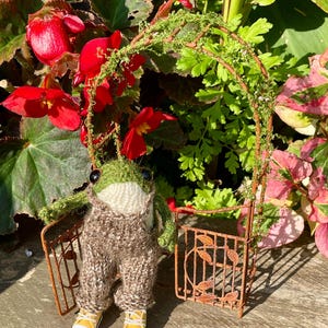 May include: A knitted frog doll in brown dungarees and yellow trainers, positioned before a small, rusty metal garden gate. The frog has green skin and a white belly. Red flowers and greenery frame the scene, creating a garden setting.