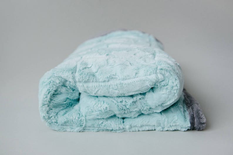 Weighted Minky Blankets - Weighted Blanket - Child Weighted Blanket - Adult Weighted Blanket - Minky Weighted Blanket -Ships out in ~1 week bild 1