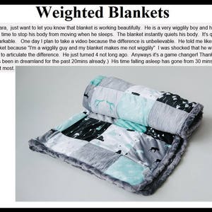 Weighted Minky Blankets - Weighted Blanket - Child Weighted Blanket - Adult Weighted Blanket - Minky Weighted Blanket -Ships out in ~1 week bild 5