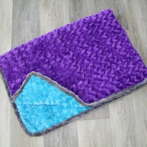 Weighted Minky Blankets - Weighted Blanket - Child Weighted Blanket - Adult Weighted Blanket - Minky Weighted Blanket -Ships out in ~1 week bild 9