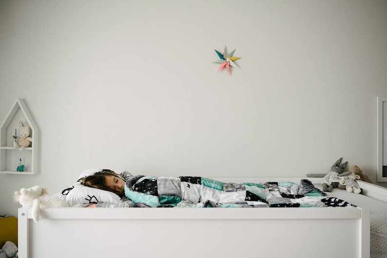 Weighted Minky Blankets - Weighted Blanket - Child Weighted Blanket - Adult Weighted Blanket - Minky Weighted Blanket -Ships out in ~1 week bild 7
