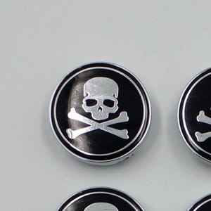 May include: Circular black and silver emblem featuring a skull and crossbones design. The skull is white, and the crossbones are silver, set against a black background. The emblem has a shiny, metallic appearance.