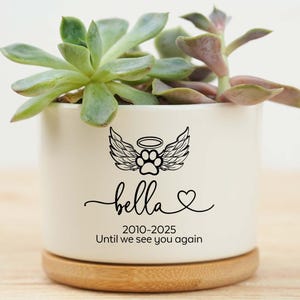Puede incluir: Una maceta de cerámica blanca con una planta suculenta. La maceta tiene una base de madera y presenta una huella de pata con alas de ángel, el nombre "bella", un corazón y los años 2010-2025, con el texto "Until we see you again."