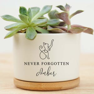 Cat Memorial Gift, Loss of Cat, pet memorial planter, dog memorial, loss of pet gift, personalized gift flower pot, pet memorial gift
