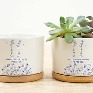 Presentes personalizados em vasos de flores para melhores amigas, vasos de flores para o mês de nascimento, presentes para melhor amiga, presentes para amizade à distância, presentes para irmãs