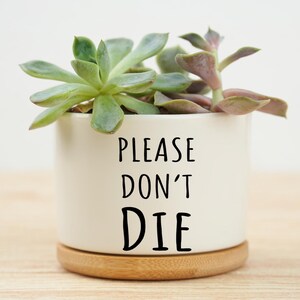 May include: A cylindrical white ceramic planter with a light wood base, containing a green succulent plant. The front of the planter features the black text "PLEASE DON'T DIE" in a simple, sans-serif font, centred on the smooth surface.