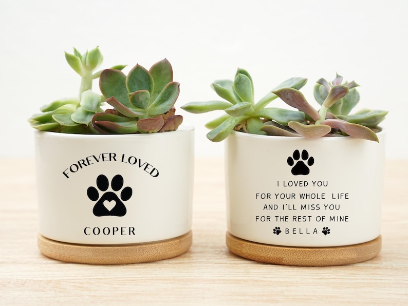 May include: Two white ceramic planters with succulents, each on a wooden base. One planter reads "FOREVER LOVED" with a paw print and heart, and the name "COOPER". The other reads "I LOVED YOU" with a paw print and the name "BELLA".