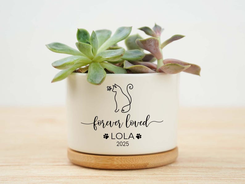 May include: A white ceramic planter with a wooden base, featuring a succulent plant. The planter has a black cat silhouette and the words "forever loved" with the name "LOLA" and the year "2025".
