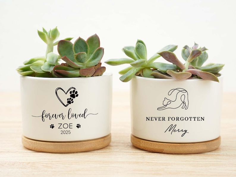 May include: Two white ceramic planters with succulents. One planter has a heart and paw print design with the text "forever loved" and "Zoe 2025". The other planter has a cat design with the text "never forgotten" and "Merry".