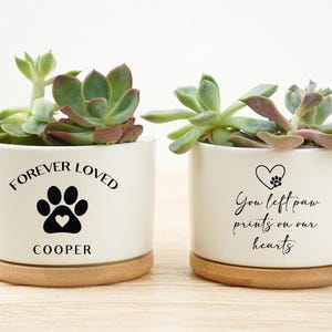 May include: Two white ceramic planters with succulents, each on a wooden base. One planter reads "FOREVER LOVED" with a paw print and heart, and the name "COOPER". The other reads "You left paw prints on our hearts" with a paw print and heart.