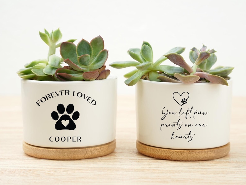 May include: Two white ceramic planters with succulents, each on a wooden base. One planter reads "FOREVER LOVED" with a paw print and heart, and the name "COOPER". The other reads "You left paw prints on our hearts" with a paw print and heart.