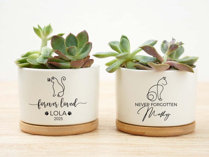 May include: Two white ceramic planters with succulents, each on a wooden base. One planter reads "forever loved" with a cat silhouette, the name "LOLA", and the year "2025". The other reads "never forgotten" with a cat silhouette and the name "Molly".