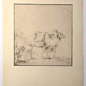 Rembrandt Camel Drawing Print 1943 Metropolitan Museum Art Vintage Dutch Master Pen Ink Animal Sketch Wall Decor Large Folio