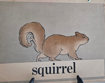 c 1920s Squirrel Antique Classroom Flash Card