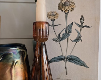 Rare 1791 Rare William Curtis Botanical Zinnea Original Hand Colored Copper Engraving 1800's antique flower art original