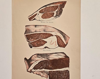 1886 antieke print van stukken rundvlees - kruideniershandboek - Artemas Ward - diagram slager - culinaire voedselgeschiedenis - kunst aan de muur keuken - lendenen