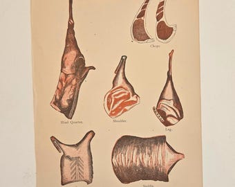 1886 antieke print van schapenvlees - kruideniershandboek - Artemas Ward - diagram slager - culinaire voedselgeschiedenis - kunst aan de muur keuken