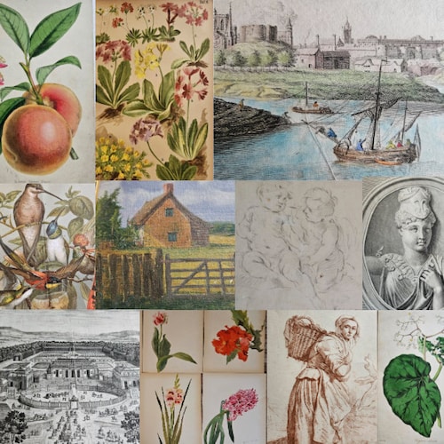 アンティーク解剖図 大判アート作品 アンティーク解剖図 大判アート作品