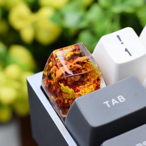 Cha.rizard Resin Keycap ,anime keycap, custom keycap , artisan keycap, birthday gift, gift for him, gift for gamer, esc keycap,gaming keycap