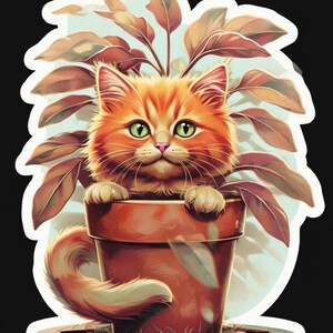 orange cat