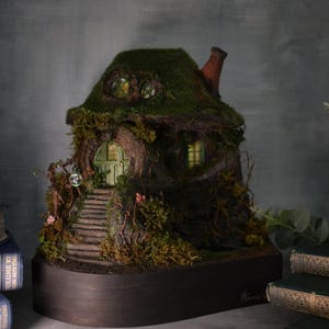 Fantasy Book nook Diorama|  Fairy house with green lake|  Bookshelf decor| Forest Booknook|