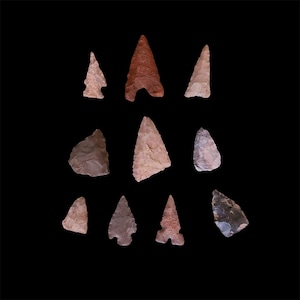 May include: A collection of ten ancient arrowheads in various shapes and sizes. The arrowheads are made of stone and display a range of colors, including tan, brown, and reddish-brown. They are arranged against a black background, highlighting their unique forms.