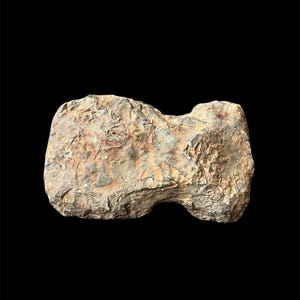 May include: A weathered, irregularly shaped rock with a rough, textured surface. The rock displays a mix of tan, brown, and grey hues, with areas of lighter and darker coloration. The overall form is elongated with a distinct indentation.