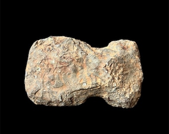 Cabeza de hacha de nativos americanos – 4000 a 2000 a. C. – piedra tosca – Ohio (EE. UU.)