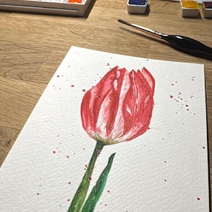 May include: Watercolor painting of a red tulip with green stem and leaves. The flower is on a white paper with red paint splatters. A watercolor palette, water jar, and brush are in the background.