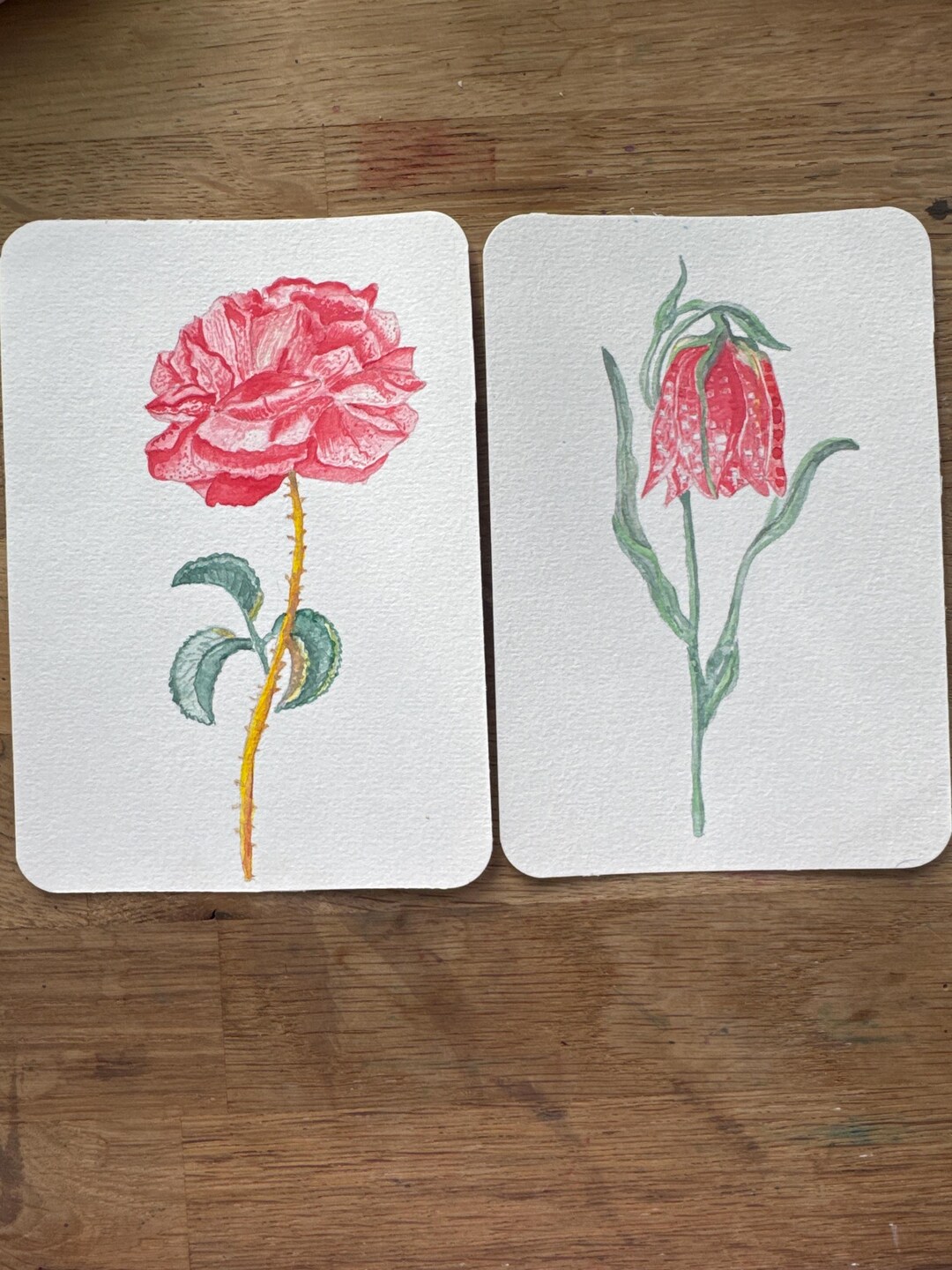 Botanical Greeting Card - Hand Painted Watercolor Flower Cards ...