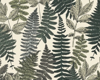 fern crib sheet