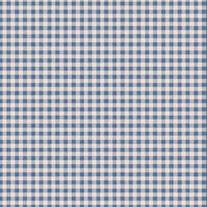 Könnte beinhalten: Ein Stofftextil mit einem sich wiederholenden Vichy-Karo-Muster, das aus kleinen, sich überschneidenden blauen und weißen Quadraten besteht. Das Design besteht aus einem konsistenten Raster aus abwechselnd hellblauen und cremeweißen Farben.