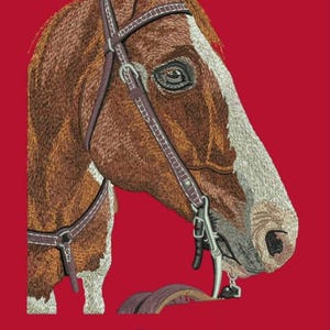 Custom Embroidery Digitizing, Logo Digitizing, Embroidery Digitizing Service, Image Digitizing Embroidery, Custom Digitize