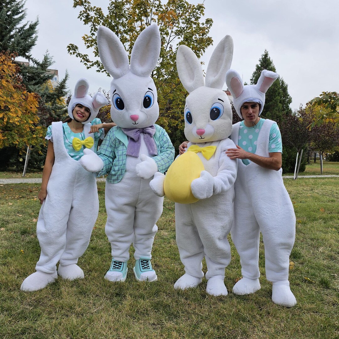 Easter Bunny Mascot Costume Set | 2 Mascots, 2 Performer Outfits ...