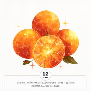 12 Celestial Oranges clipartbundel, eilandcitrusvruchten met sterren PNG, afdrukbare Goodnotes digitale stickers, junk Journal, commercieel gebruik